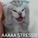 stresss emote
