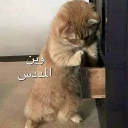 emoji_24 Emote
