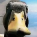 emoji_169 emote