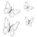 09_whitebutterfly emote
