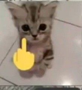CutFuckYou Emote
