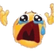 NOOOO emote