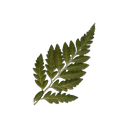 3b592d5d23387a7c9cc9b038ce3b42c1 emote