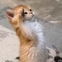 emoji_91 emote