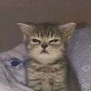 download32 emote