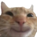 smile Emote