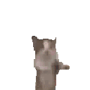 happy emote