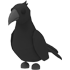 Crow emote
