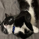 Thunder Emote
