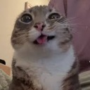 emoji_31 Emote