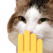 eehe emote