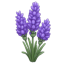 r_lavender emote