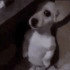 fullsize1 emote