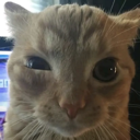 emoji_35 emote