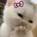 sachiii emote
