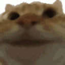 yes emote