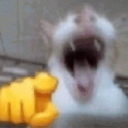 Screenshot_20251122_112416_Pinte Emote
