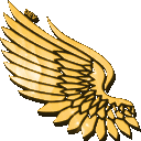 51 emote
