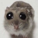 sorry emote