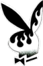 playboy emote