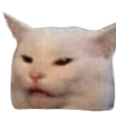 CatOffended emote