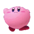 Kirby_Nara emote