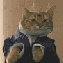 37023catsuit Emote