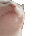 catvibe Emote