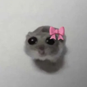 1226672293514706954 Emote