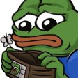 hkdg_pepePoorOwO emote