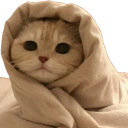 442830comfycat emote
