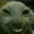 Screenshot20260413203615 Emote