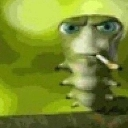 ao emote