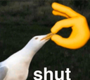 hp_shut Emote