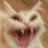 crack63 emote