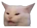 TFcat emote