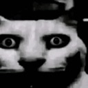 catDestare emote