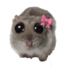 sadhamster2 Emote
