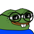 peepoNerd emote