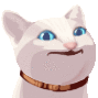 8214dgfcatpop emote