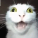 Screenshot_20251122_112400_Pinte emote