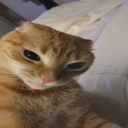 angry Emote