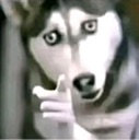 watchout emote