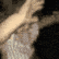 emojim_4 emote