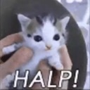 Halp emote