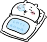 ChiiSleep emote