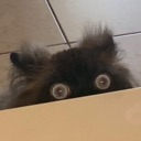 stalk Emote