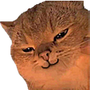 catsmirk emote