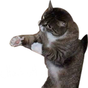mz_343 emote