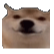 okaybro Emote